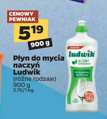 Netto Płyn do mycia naczyń Ludwik oferta
