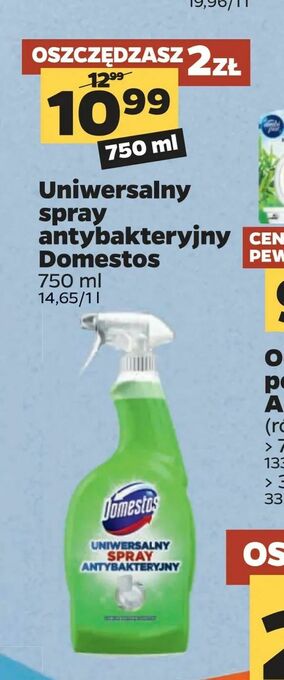 Netto Uniwersalny spray antybakteryjny Domestos oferta