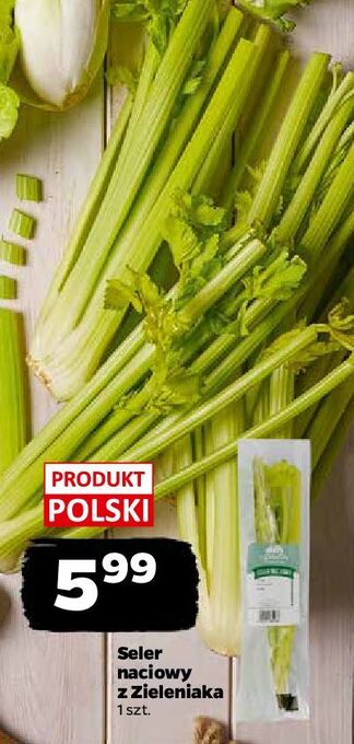 Netto Seler naciowy z zieleniaka netto oferta