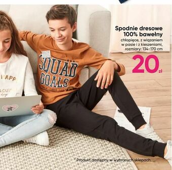 Pepco Spodnie dresowe 100% bawełny oferta