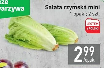 Sałata rzymska mini