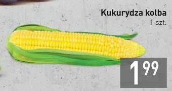 Stokrotka Kukurydza kolba oferta