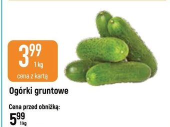 E.Leclerc Ogórki gruntowe oferta