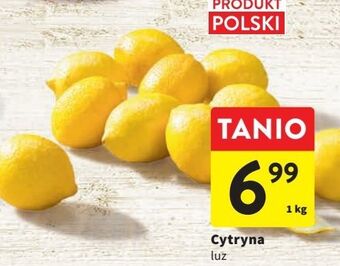 Intermarche Cytryny oferta