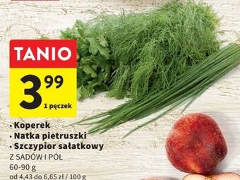 Intermarche Natka pietruszki z sadów i pól oferta