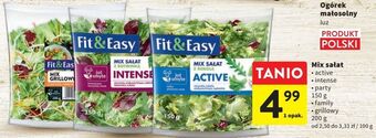 Intermarche Mix grillowy fit & easy oferta