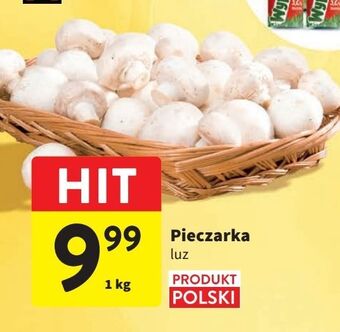 Intermarche Pieczarka oferta