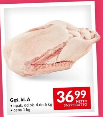 Gęś, kl. A 1 kg