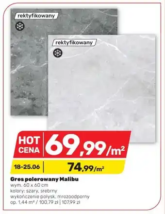 Bricomarche Gres polerowany Malibu wym. 60 x 60 cm oferta