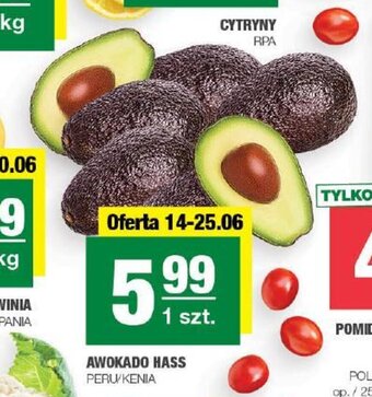 Spar AWOKADO HASS 1 szt. oferta