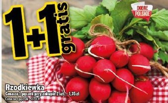 Topaz Rzodkiewka 1 pęczek oferta