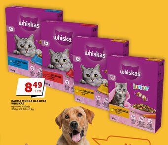 Groszek KARMA MOKRA DLA KOTA WHISKAS 300 g oferta
