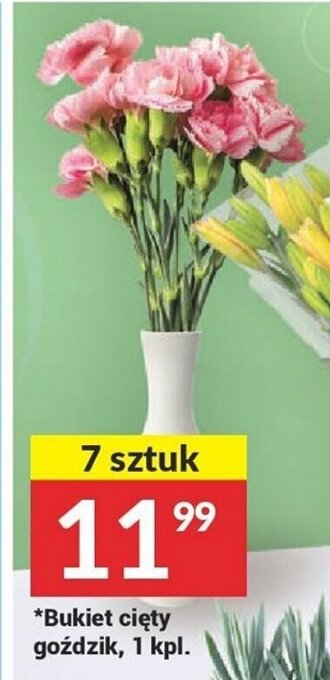 Twój Market Bukiet cięty goździk, 1 kpl. oferta