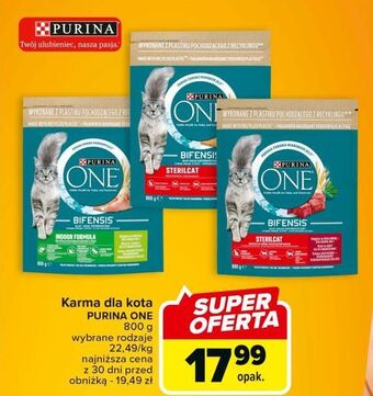 Carrefour Karma dla kota sterilcat wołowina i pszenica purina one oferta