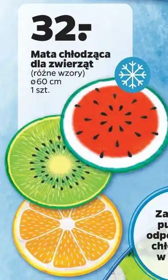 Netto Mata chłodząca dla zwierząt 60 cm kiwi oferta