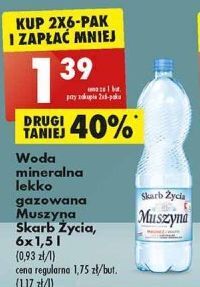 Biedronka Woda lekko gazowana muszyna skarb życia oferta