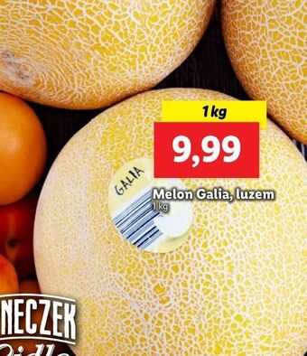 Lidl Melon galia oferta