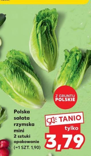 Kaufland Sałata rzymska mini oferta