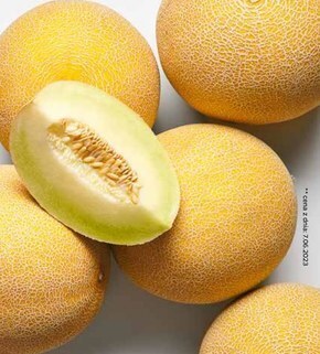 Netto Melon oferta