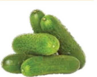E.Leclerc Ogórki oferta
