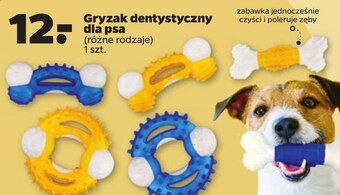 Netto Gryzak dla psa oferta