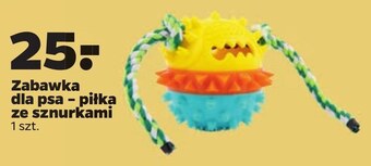 Netto Zabawka dla psa oferta