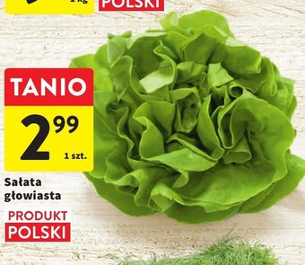 Intermarche Sałata oferta