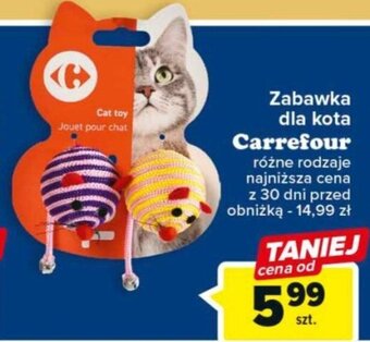 Carrefour Zabawka dla kota Carrefour oferta