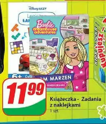 Dino Księżniczka - zadania z naklejkami 1 SZT oferta