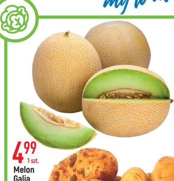 E.Leclerc Melon galia oferta