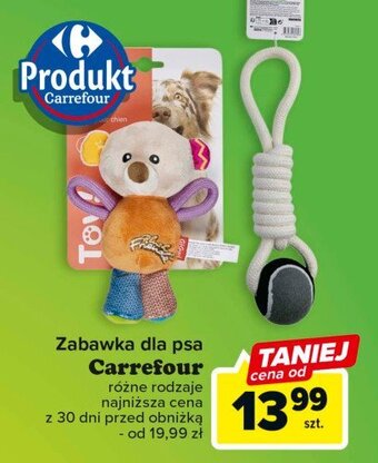 Carrefour Zabawka dla psa oferta