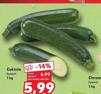 Kaufland Cukinia luzem 1 kg oferta
