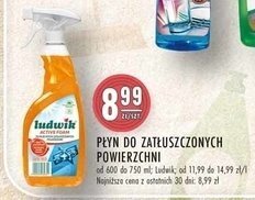 Stokrotka Płyn do zatłuszczonych powierzchni oferta