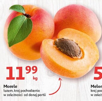 Auchan Morele oferta