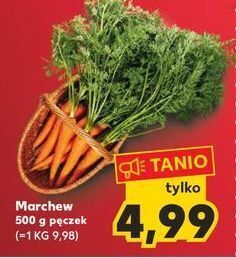 Kaufland Marchew młoda oferta