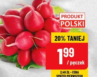 Polomarket Rzodkiewki oferta