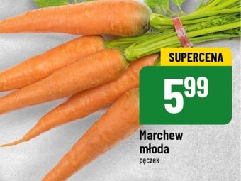 Polomarket Marchew oferta