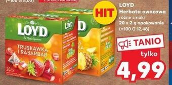 Kaufland Herbata truskawki i rabarbar loyd tea the magic experience oferta