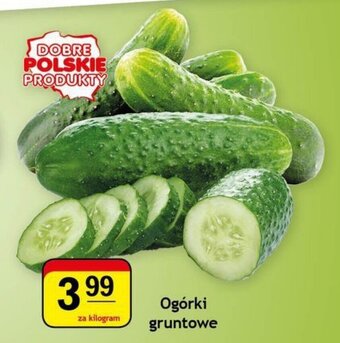 Gram Market Ogórki gruntowe 1kg oferta