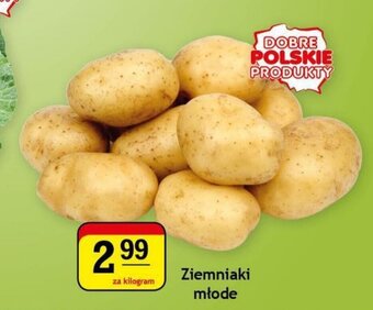Gram Market Ziemniaki młode 1kg oferta