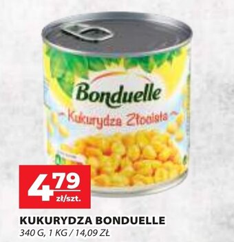 Top Market KUKURYDZA BONDUELLE 340 G oferta