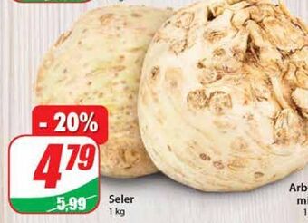 Dino Seler oferta