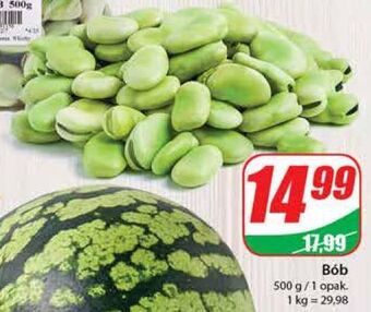 Dino Bób oferta