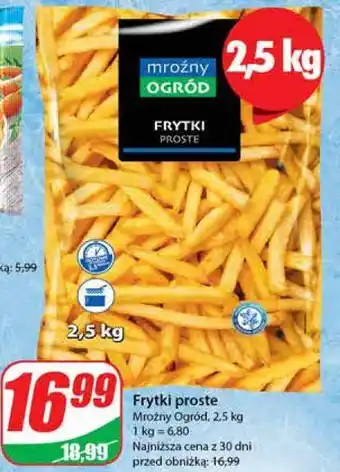 Dino Frytki proste mroźny ogród oferta