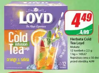 Dino Herbata na zimno orange & salvia loyd tea the magic experience oferta