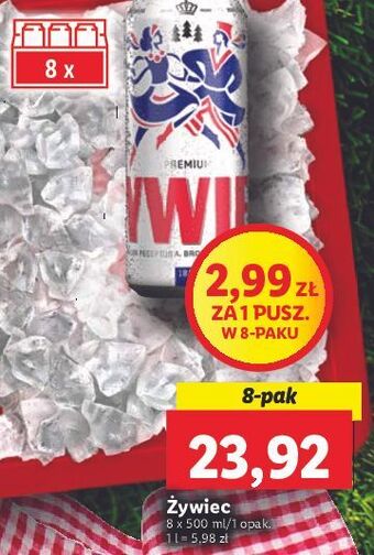 Lidl Piwo żywiec jasne pełne oferta