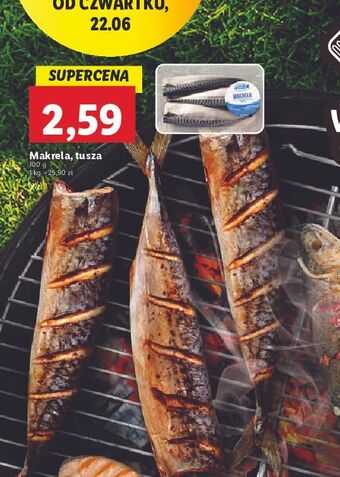 Lidl Makrela tusza oferta