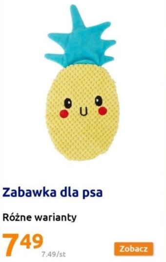 Action Zabawka dla psa oferta