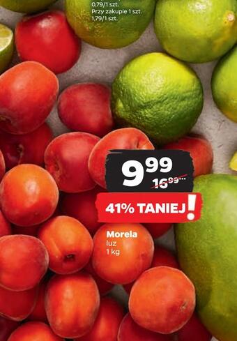 Netto Morela oferta