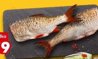 Kaufland Płoć oferta